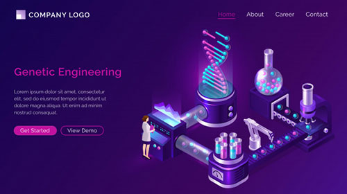 SEO Digma